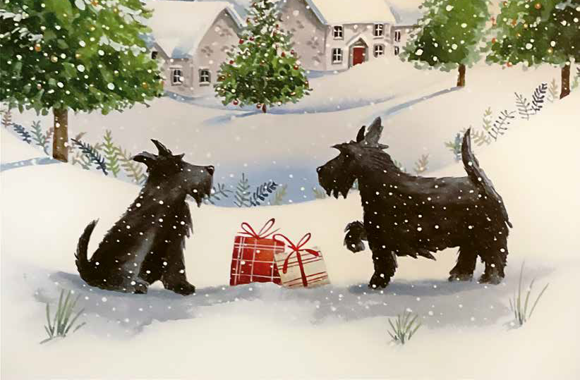 Weltwoche Kommentar 52/25